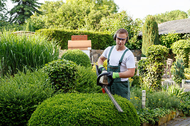 Best Tree Trimming and Pruning  in Lake City, PA